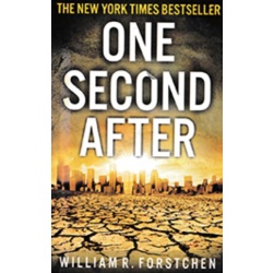 one_second_after