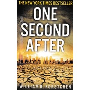 one_second_after